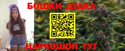 спиды Заводоуковск